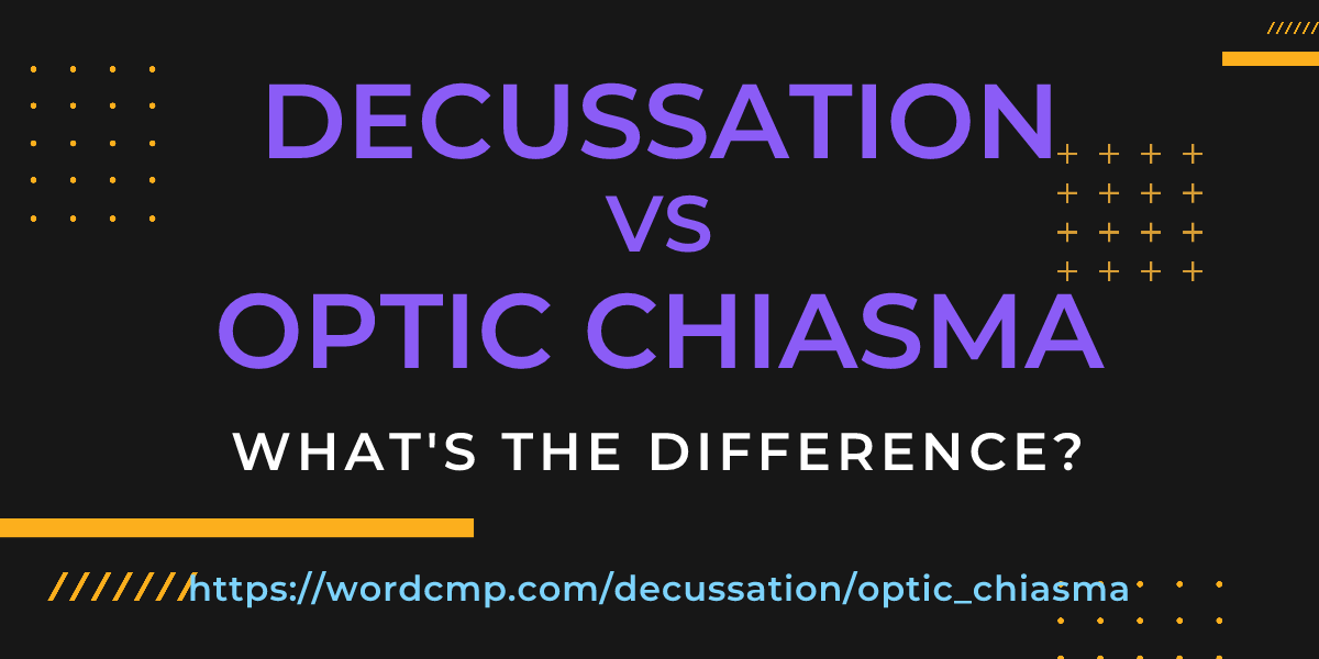 Difference between decussation and optic chiasma