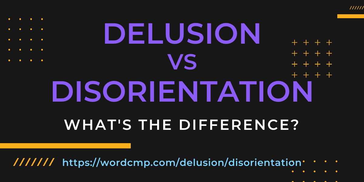 Difference between delusion and disorientation