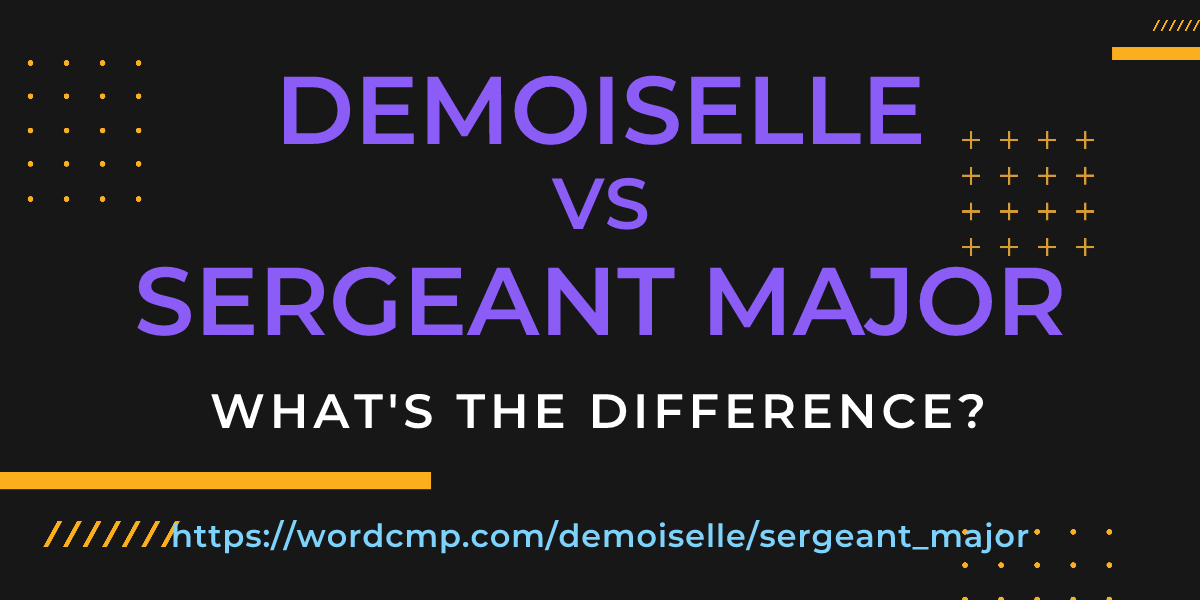 Difference between demoiselle and sergeant major