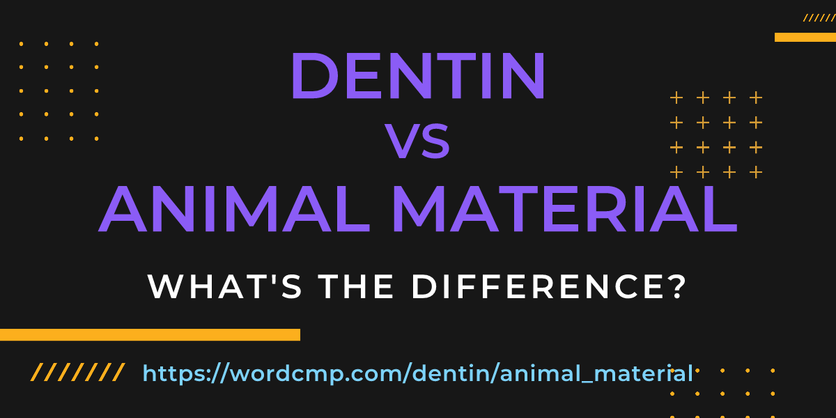Difference between dentin and animal material