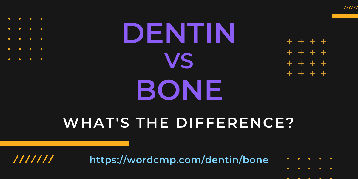 Difference between dentin and bone