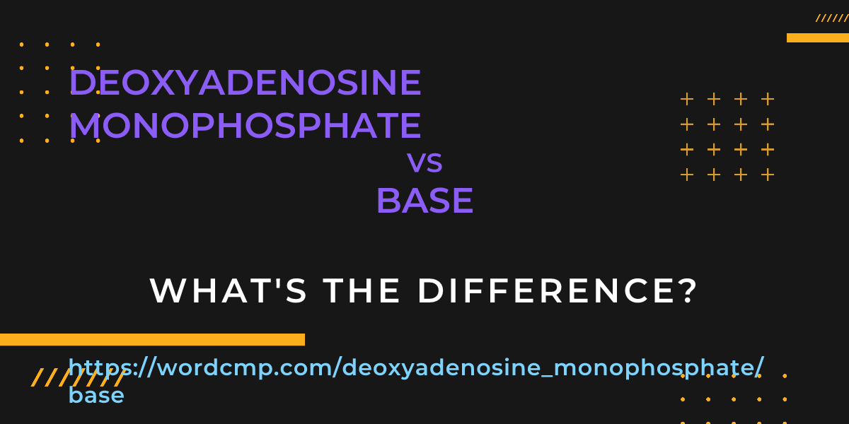Difference between deoxyadenosine monophosphate and base