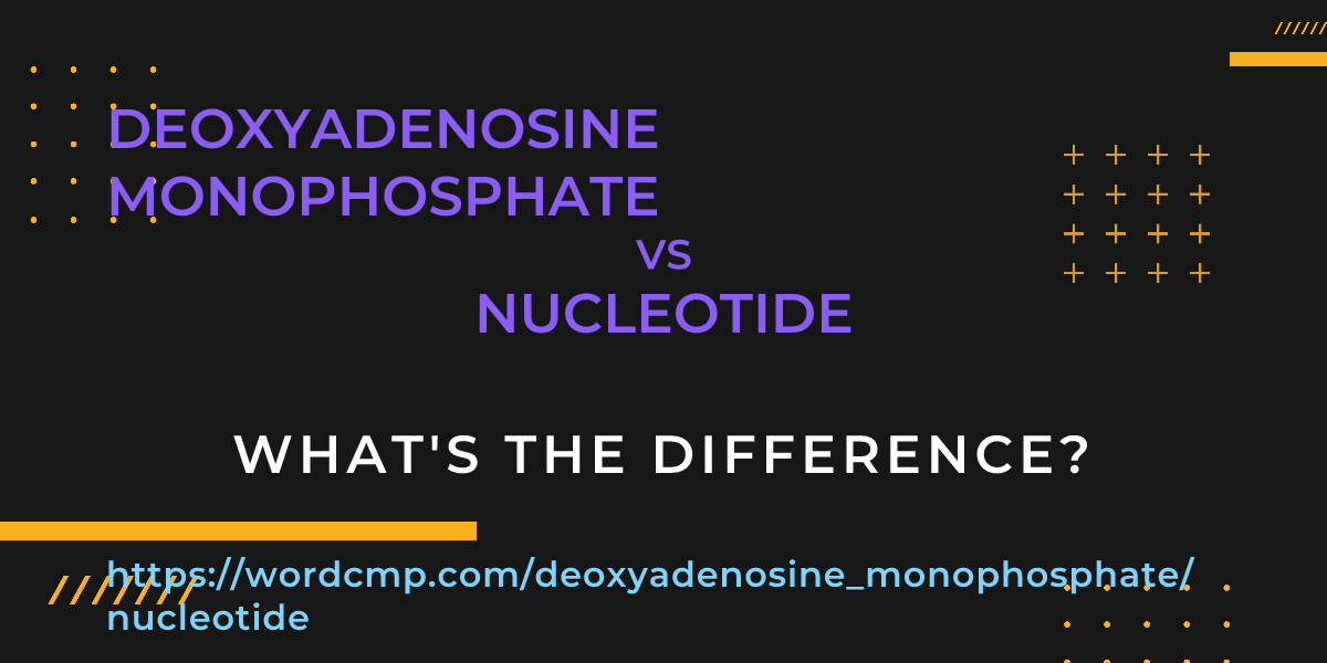 Difference between deoxyadenosine monophosphate and nucleotide