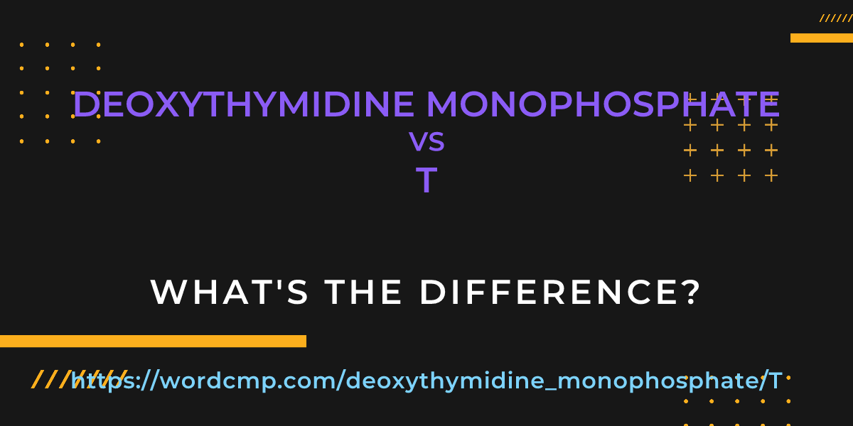Difference between deoxythymidine monophosphate and T