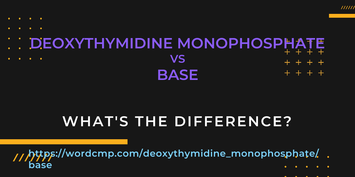 Difference between deoxythymidine monophosphate and base