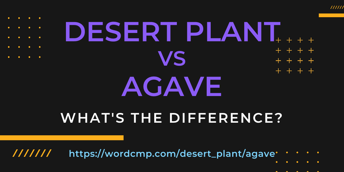 Difference between desert plant and agave