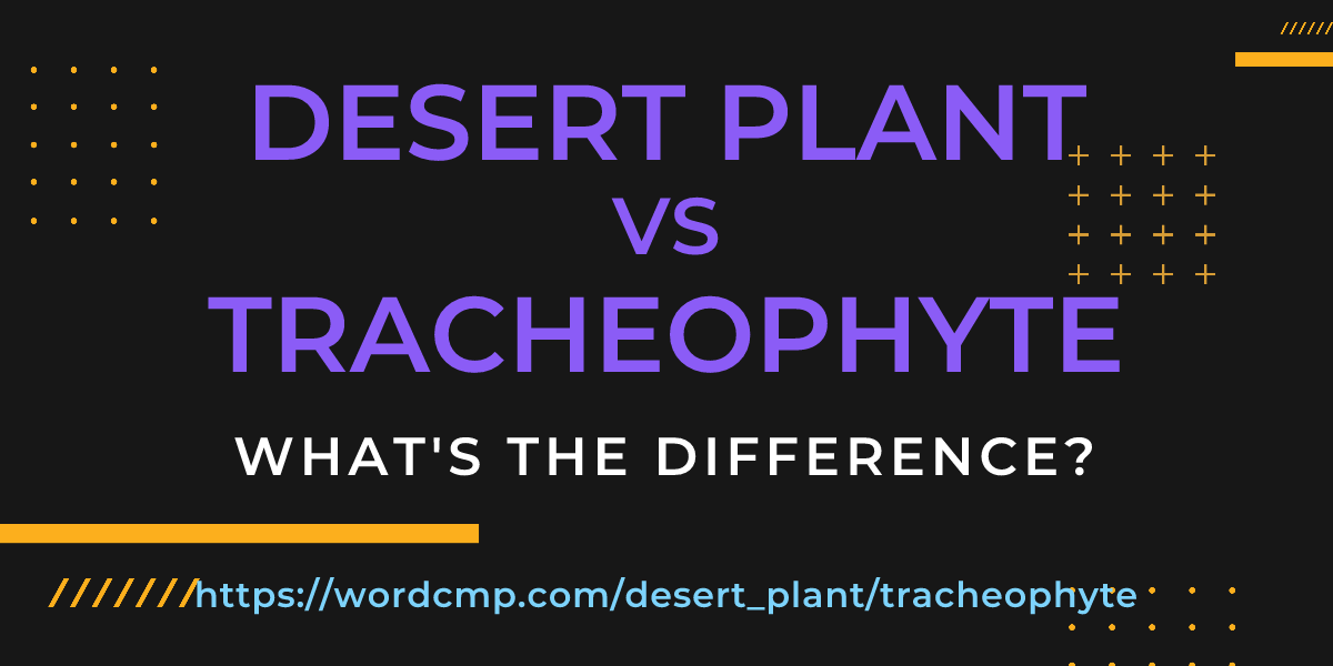 Difference between desert plant and tracheophyte