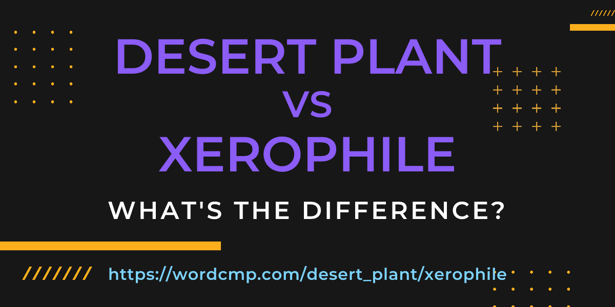 Difference between desert plant and xerophile