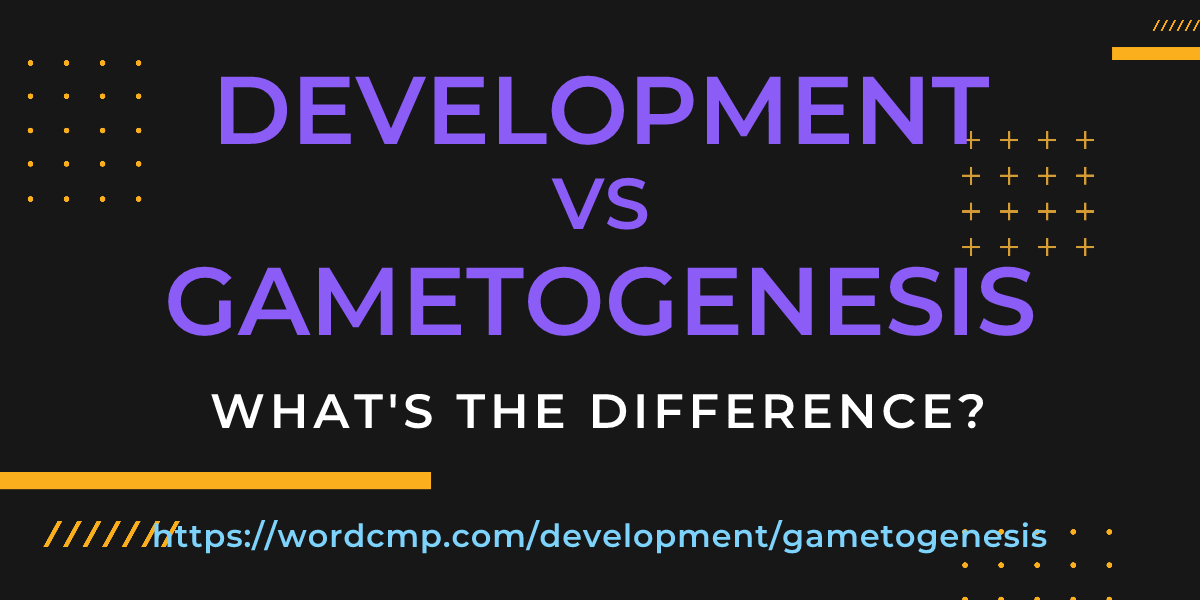 Difference between development and gametogenesis