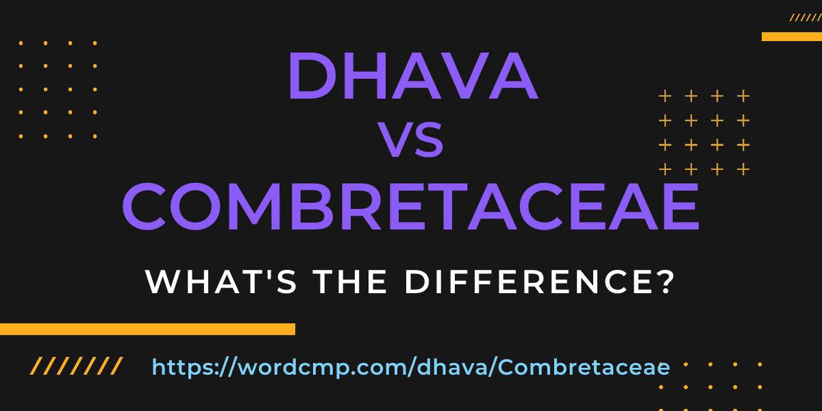 Difference between dhava and Combretaceae