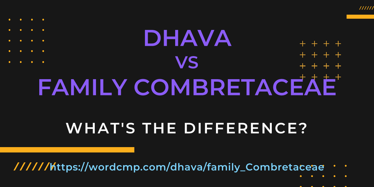 Difference between dhava and family Combretaceae