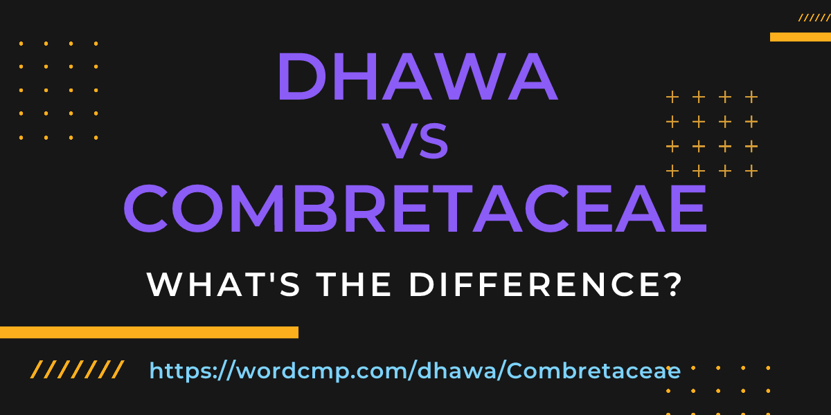 Difference between dhawa and Combretaceae