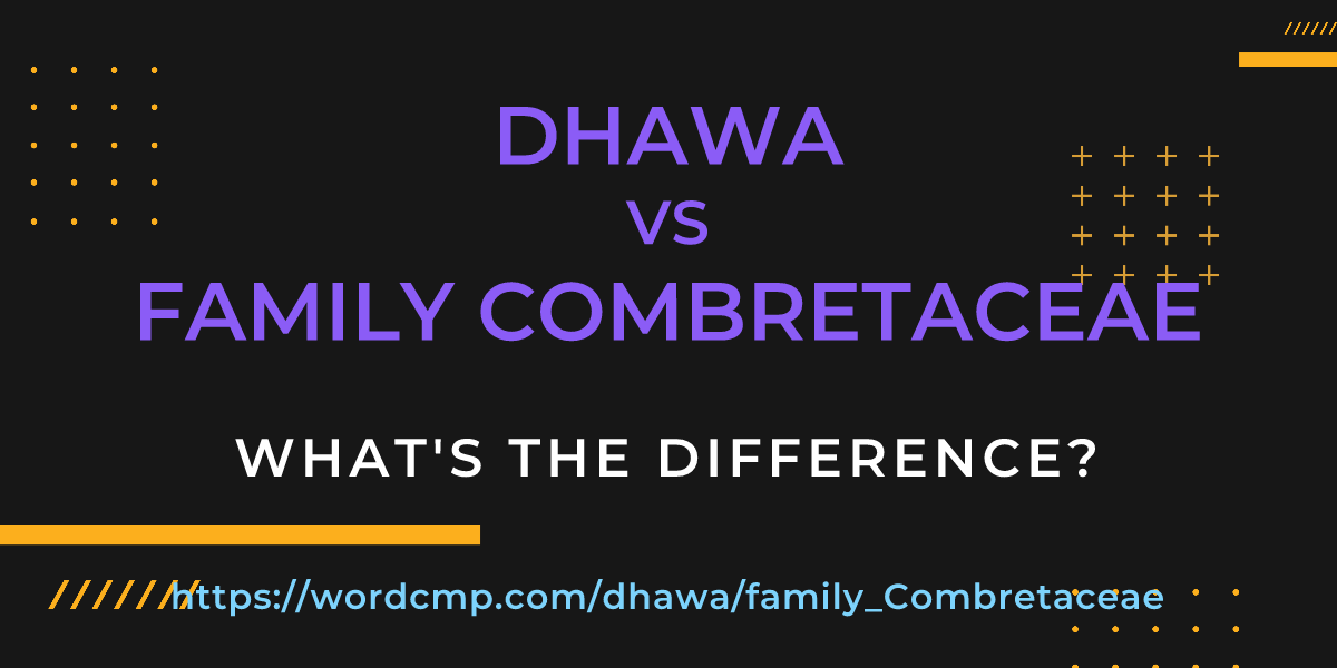 Difference between dhawa and family Combretaceae