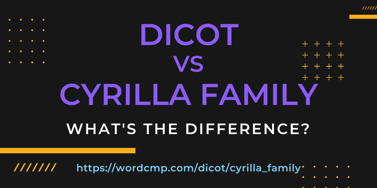 Difference between dicot and cyrilla family