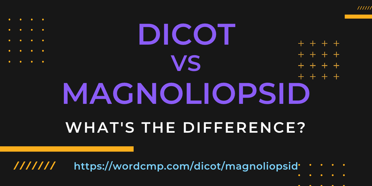 Difference between dicot and magnoliopsid