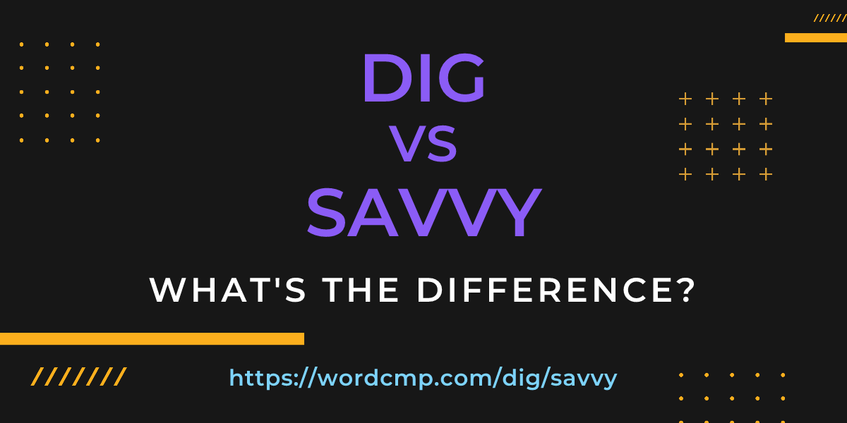 Difference between dig and savvy