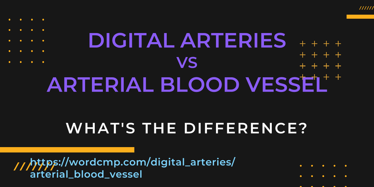 Difference between digital arteries and arterial blood vessel