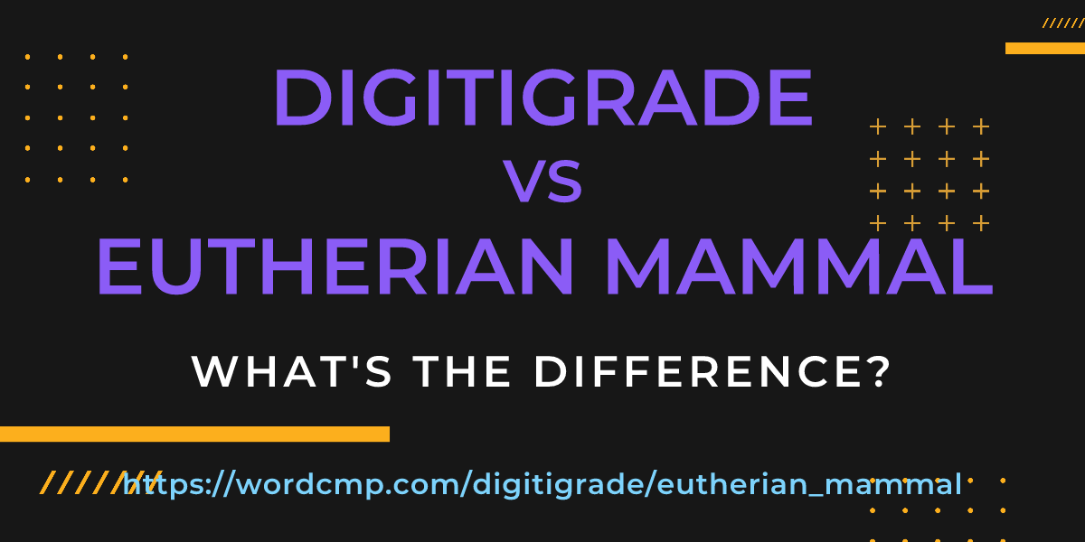 Difference between digitigrade and eutherian mammal