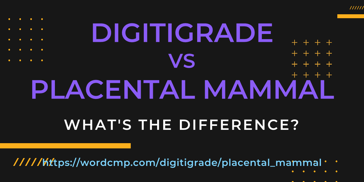 Difference between digitigrade and placental mammal