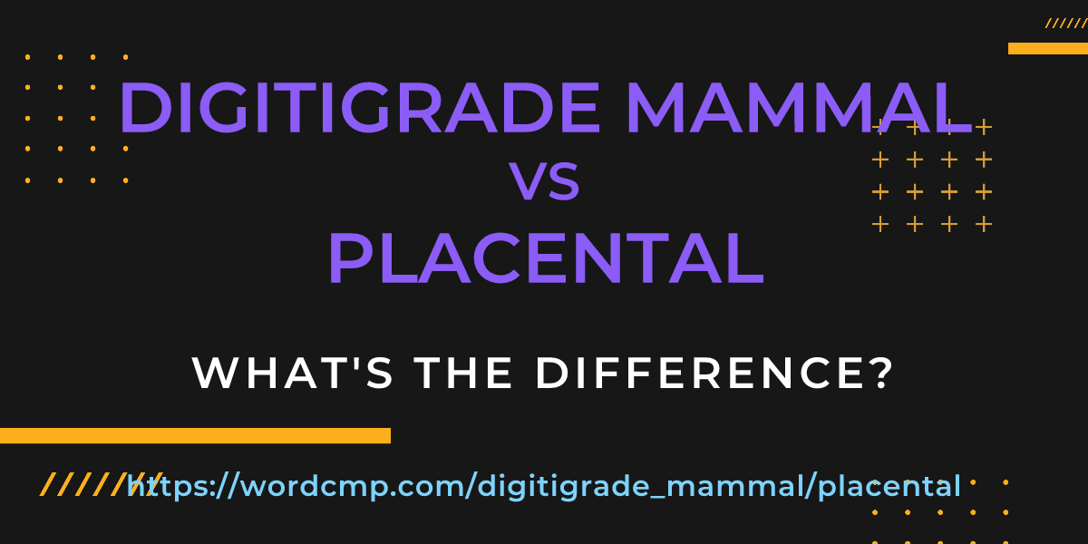 Difference between digitigrade mammal and placental