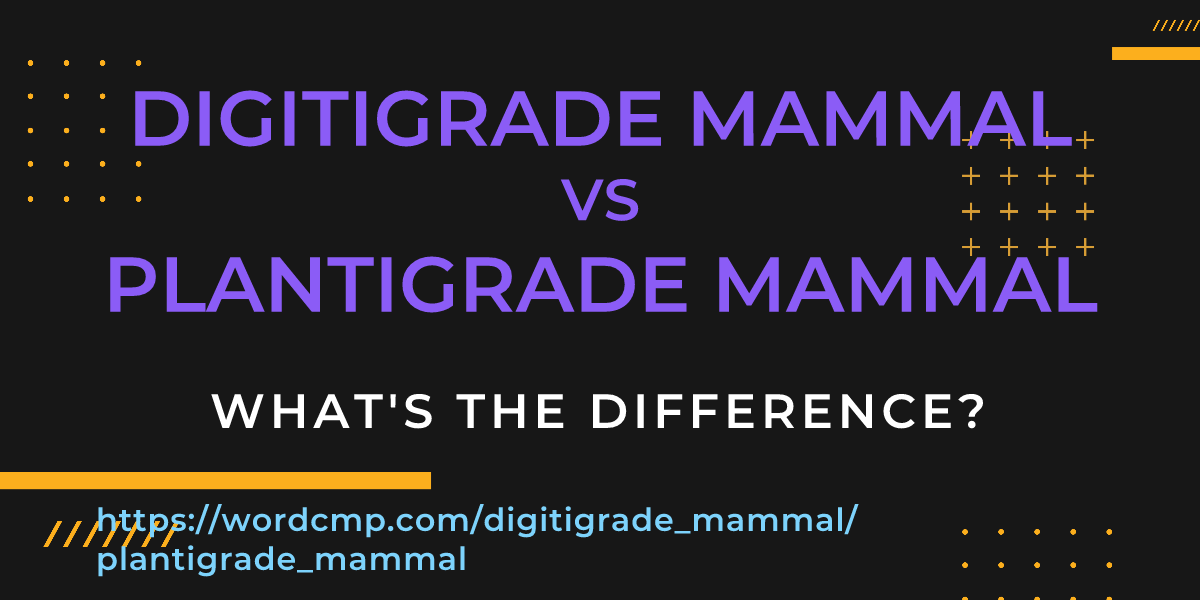 Difference between digitigrade mammal and plantigrade mammal