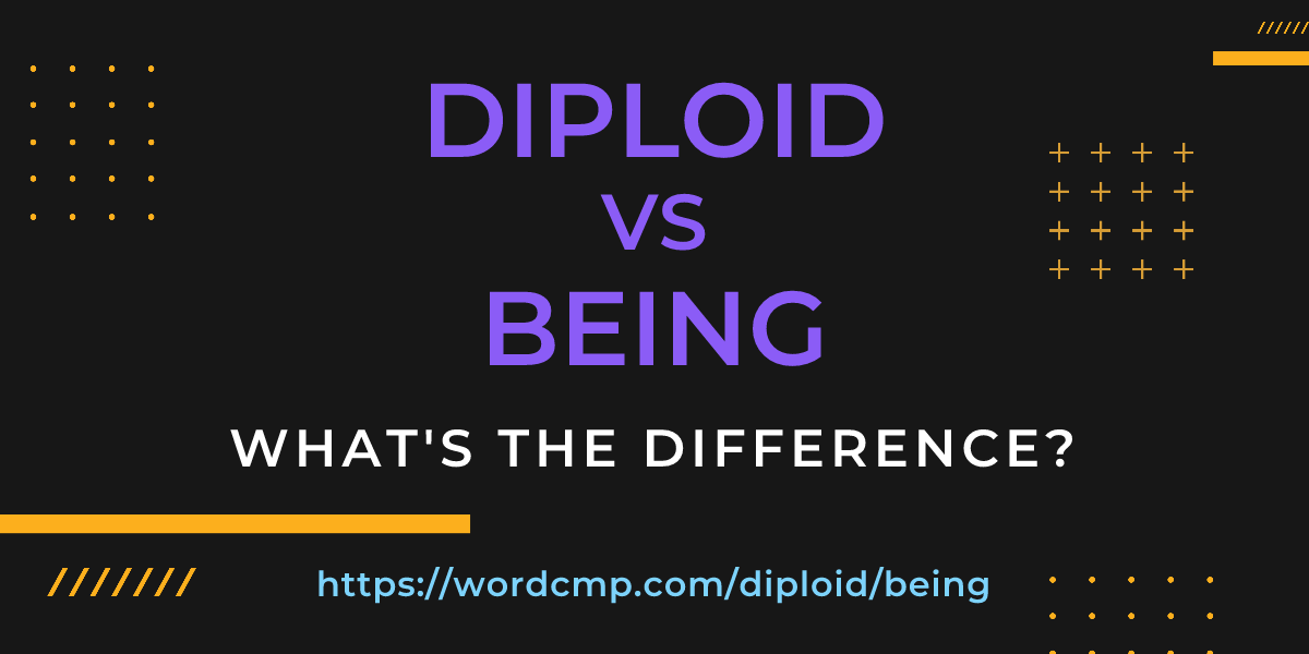 Difference between diploid and being