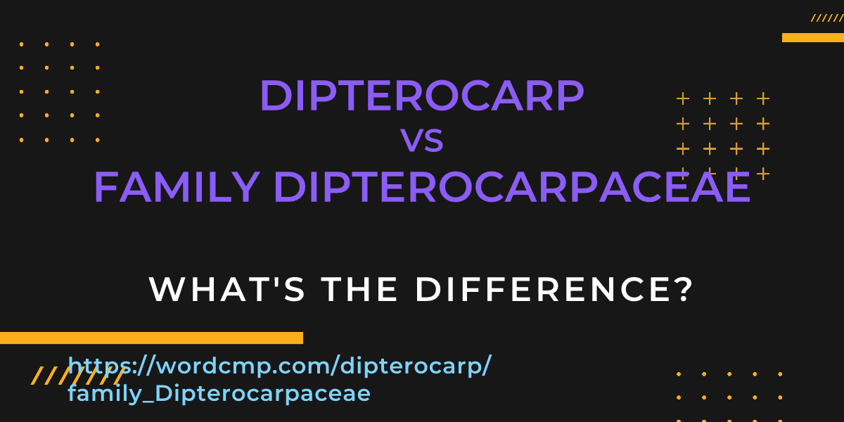 Difference between dipterocarp and family Dipterocarpaceae