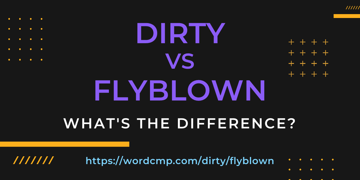 Difference between dirty and flyblown