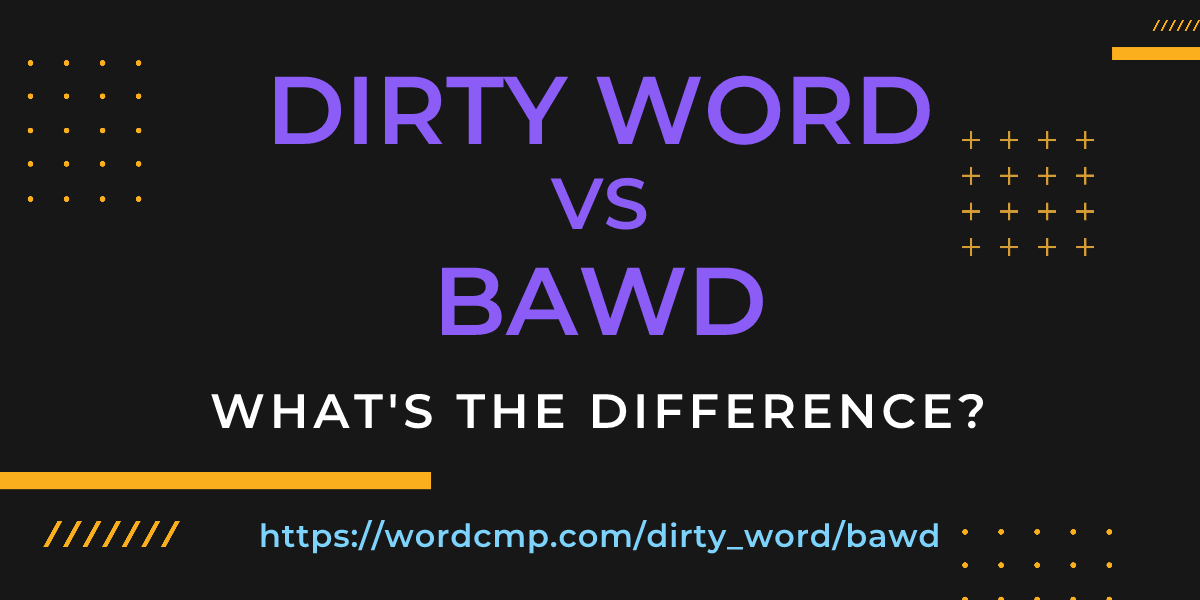 Difference between dirty word and bawd