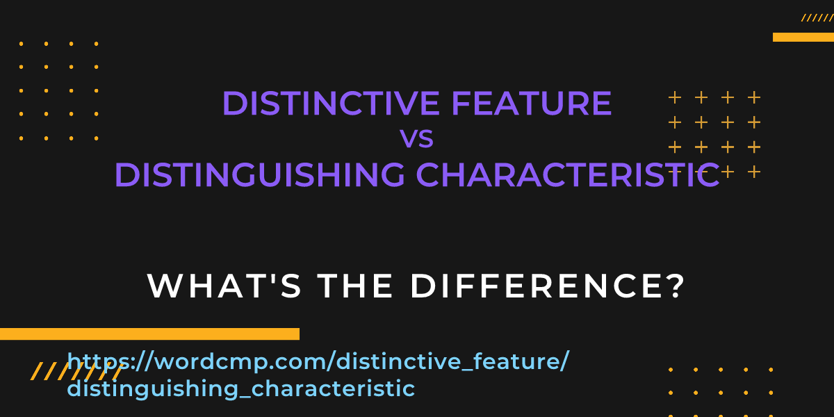 Difference between distinctive feature and distinguishing characteristic