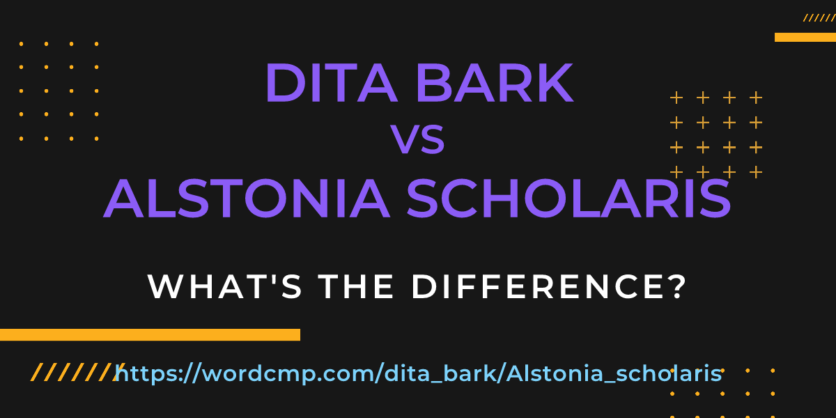 Difference between dita bark and Alstonia scholaris