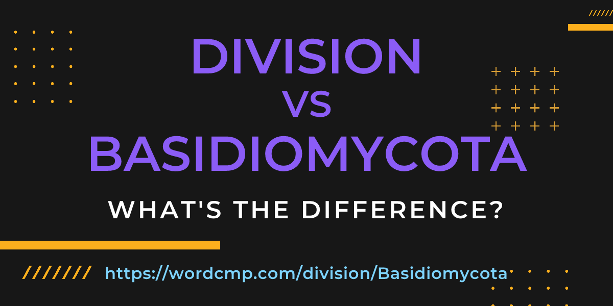 Difference between division and Basidiomycota