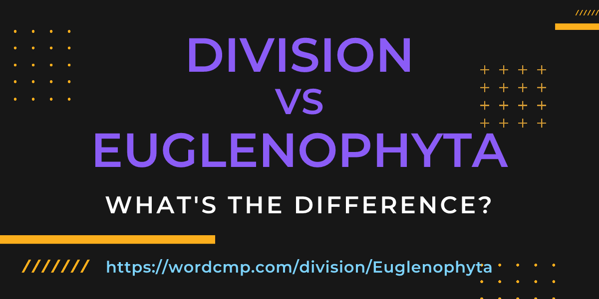 Difference between division and Euglenophyta