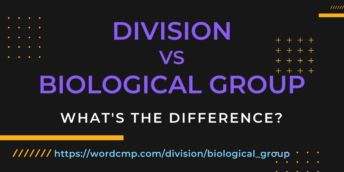 Difference between division and biological group