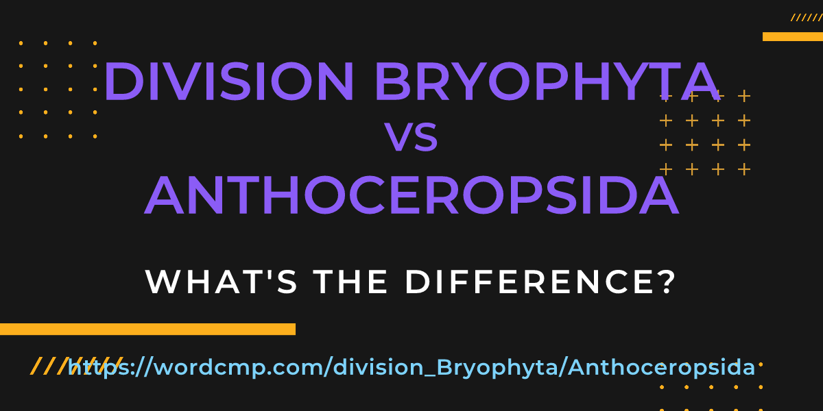 Difference between division Bryophyta and Anthoceropsida