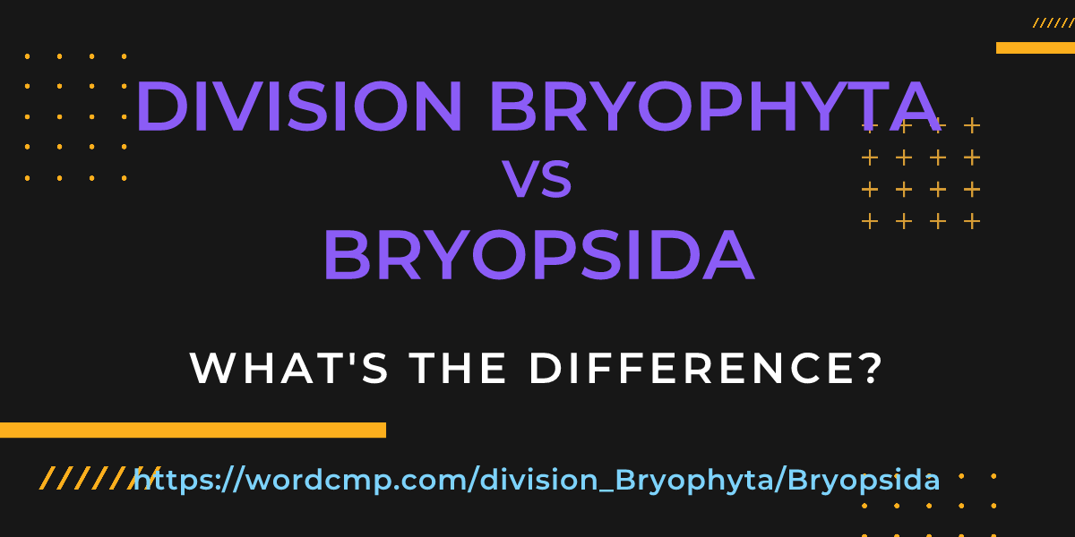 Difference between division Bryophyta and Bryopsida