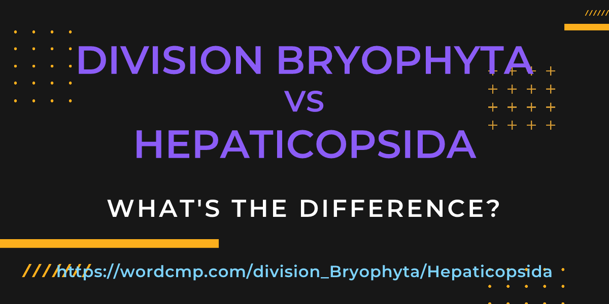 Difference between division Bryophyta and Hepaticopsida