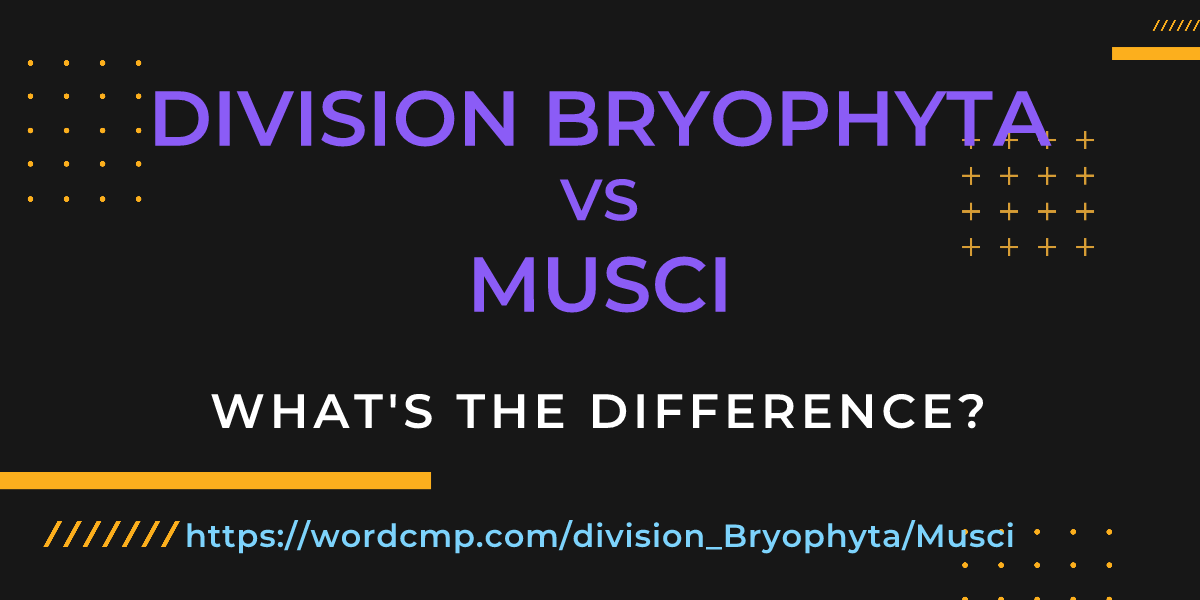 Difference between division Bryophyta and Musci