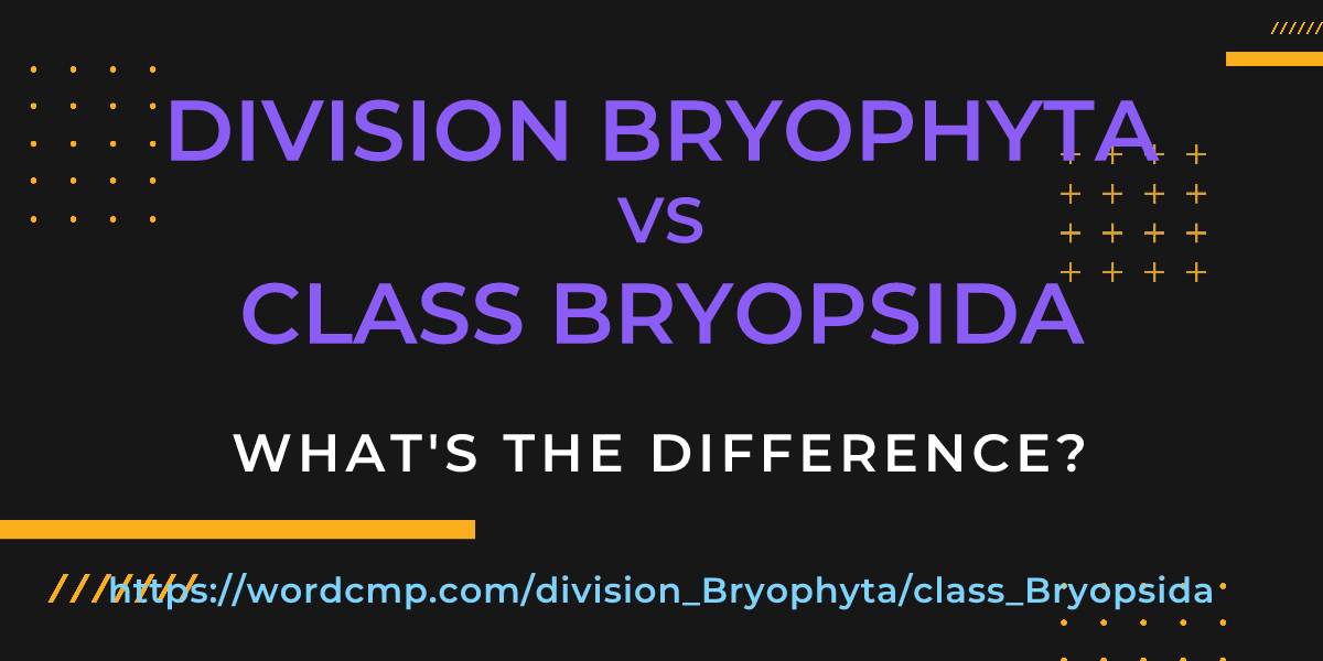 Difference between division Bryophyta and class Bryopsida