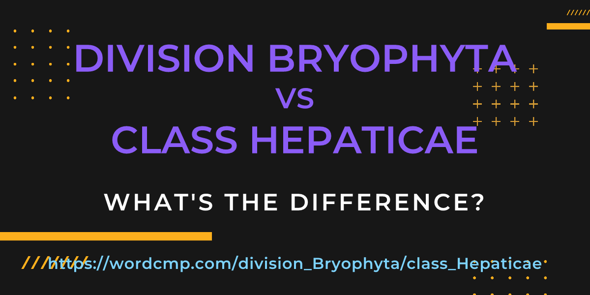Difference between division Bryophyta and class Hepaticae