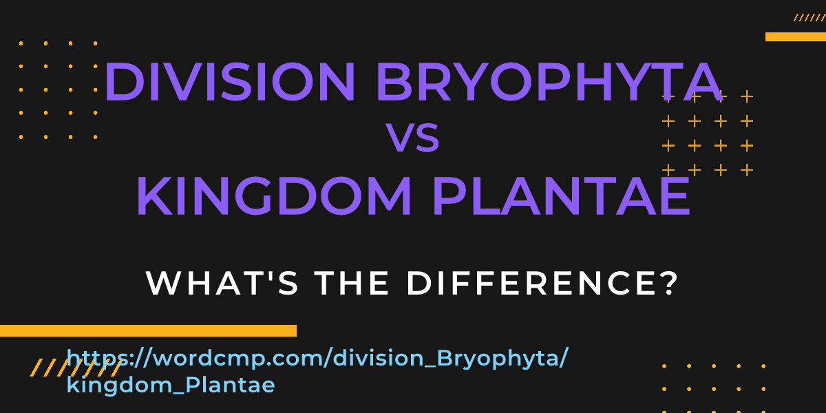 Difference between division Bryophyta and kingdom Plantae