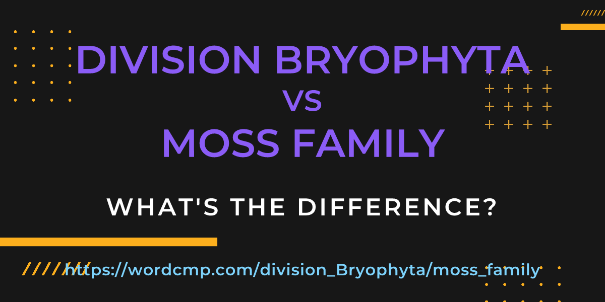 Difference between division Bryophyta and moss family