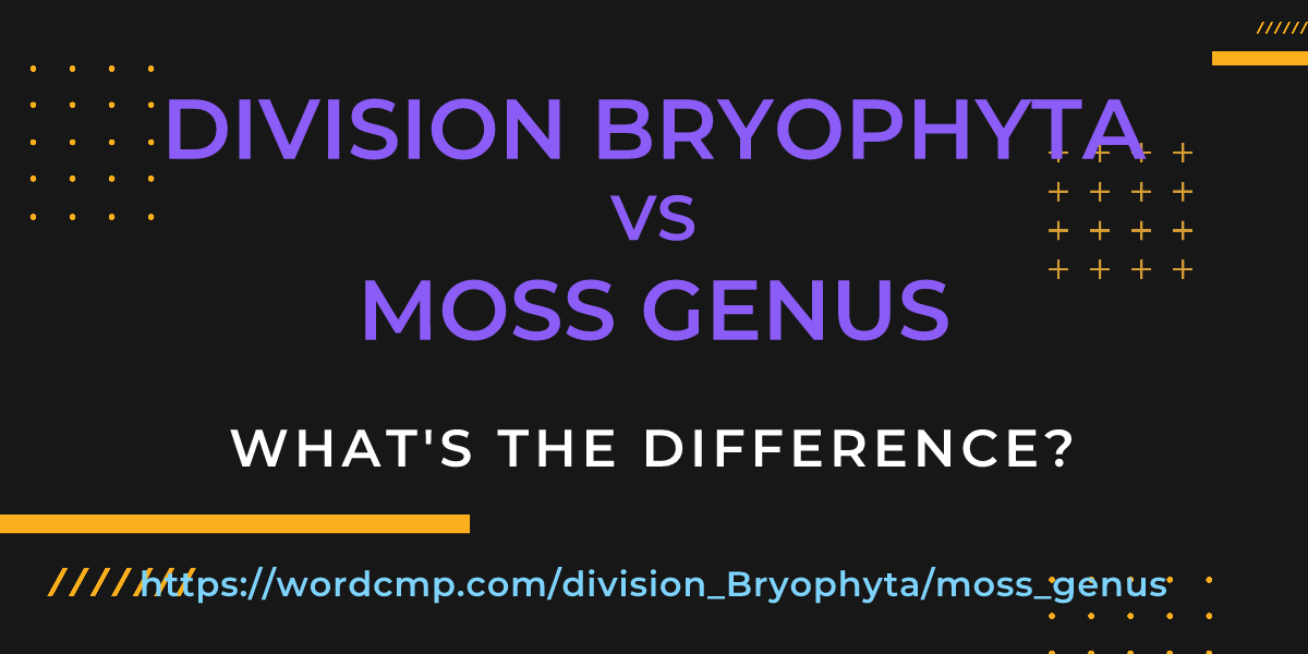 Difference between division Bryophyta and moss genus