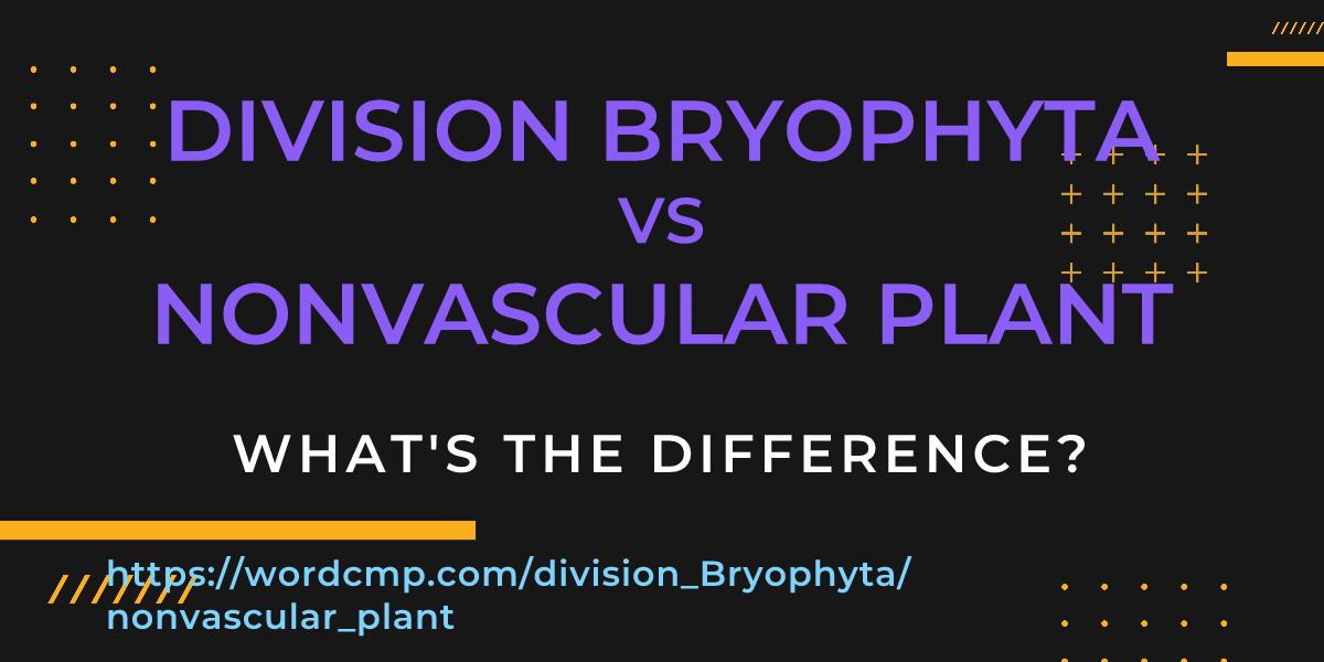 Difference between division Bryophyta and nonvascular plant