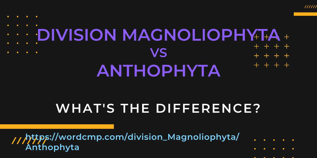 Difference between division Magnoliophyta and Anthophyta