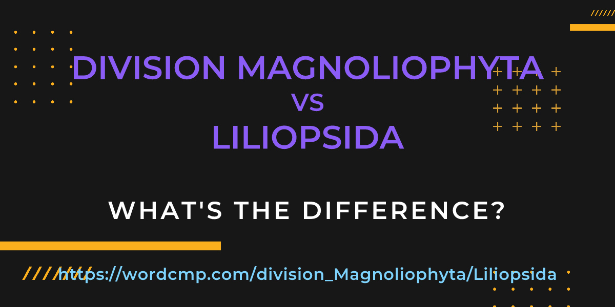 Difference between division Magnoliophyta and Liliopsida
