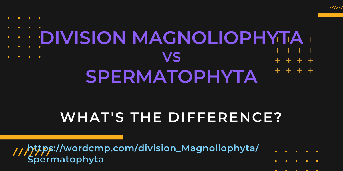 Difference between division Magnoliophyta and Spermatophyta