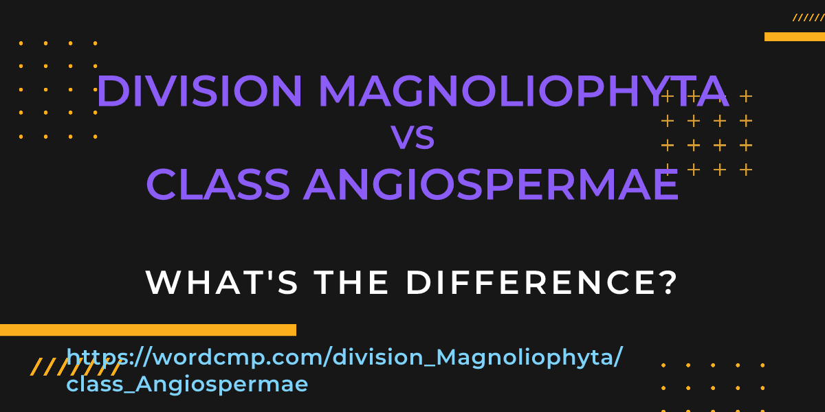 Difference between division Magnoliophyta and class Angiospermae