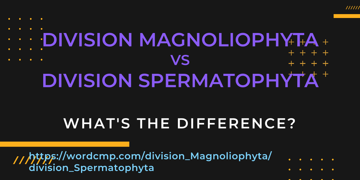 Difference between division Magnoliophyta and division Spermatophyta
