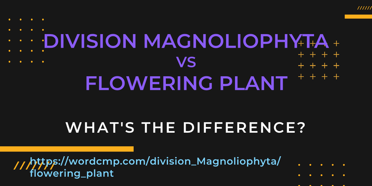 Difference between division Magnoliophyta and flowering plant